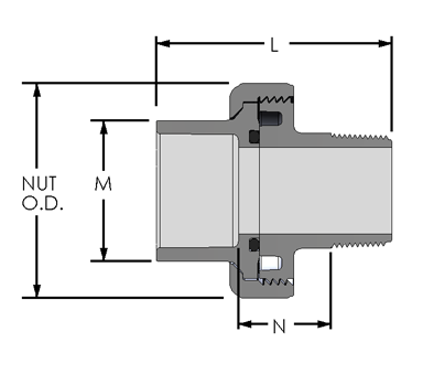 Union 2000 - Socket/Mipt/FKM